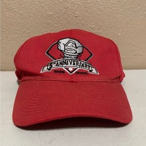 Vintage Lansing Lugnuts Minor League Baseball Red Youth Snapback Hat Cap